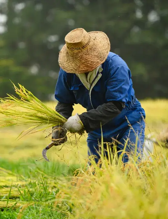 食をめぐる人と環境その未来を育てる